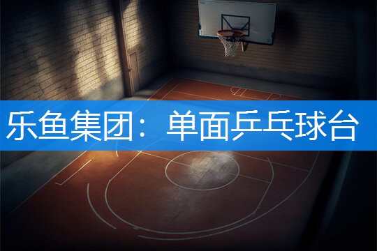 乐鱼集团：单面乒乓球台