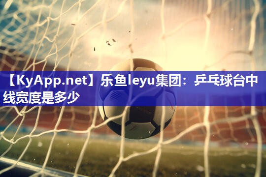 乐鱼leyu集团：乒乓球台中线宽度是多少