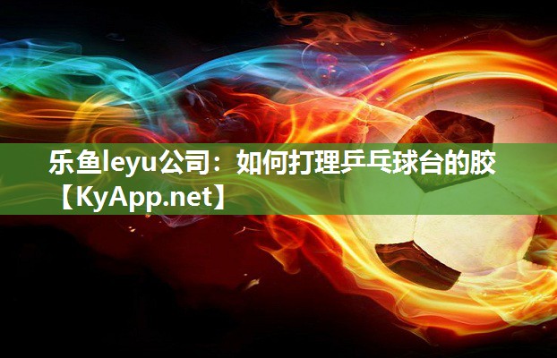 乐鱼leyu公司：如何打理乒乓球台的胶