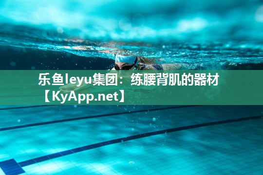 乐鱼leyu集团：练腰背肌的器材