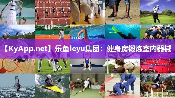 乐鱼leyu集团：健身房锻炼室内器械