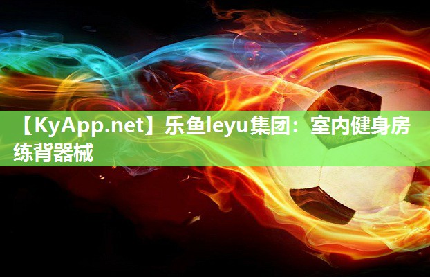 乐鱼leyu集团：室内健身房练背器械