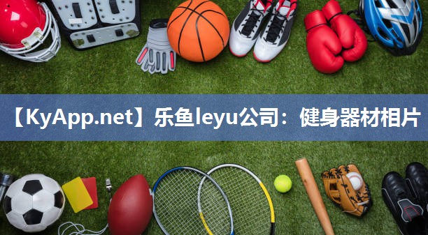 乐鱼leyu公司：健身器材相片