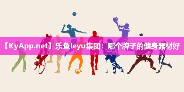 乐鱼leyu集团：哪个牌子的健身器材好