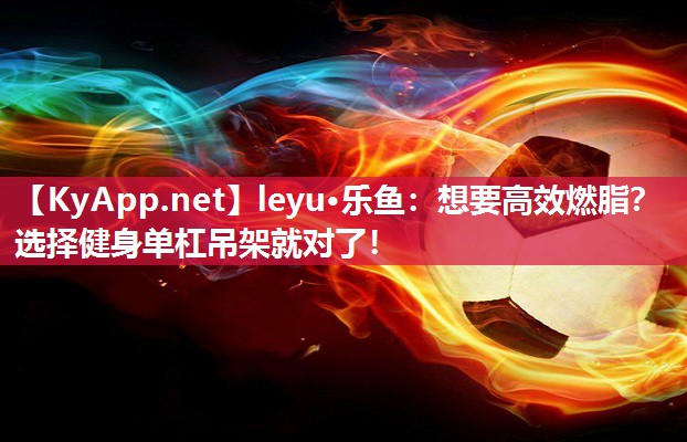 leyu·乐鱼：想要高效燃脂？选择健身单杠吊架就对了！